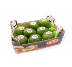 AGUACATE BACON 2KG PARA...