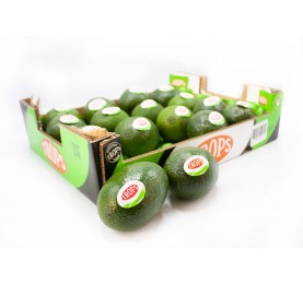 AGUACATE BACON 4 KG PARA...